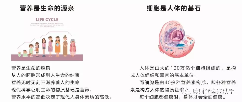 欧瑞莲营养品